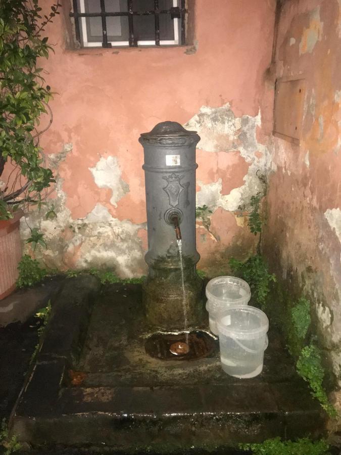 Saint Peter Cozy Apartment Rzym Zewnętrze zdjęcie